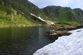 Obere riednersee 65465 2014-06-26.jpg