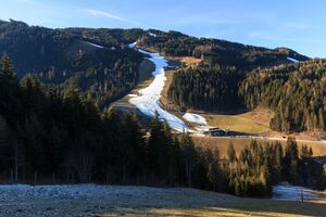 P Anthropogen ReiteralmSki.jpg