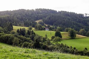 Planitzer vlg schneemoser sonnberg 16- 0282-2023-08-25.jpg