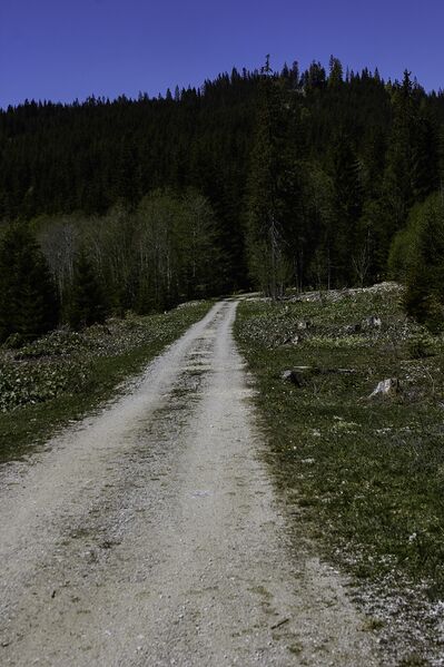 Datei:Saubachstraße 20-05-07 1132.jpg