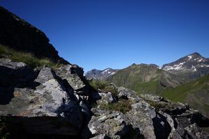 Spateck 94987 2015-07-11.jpg