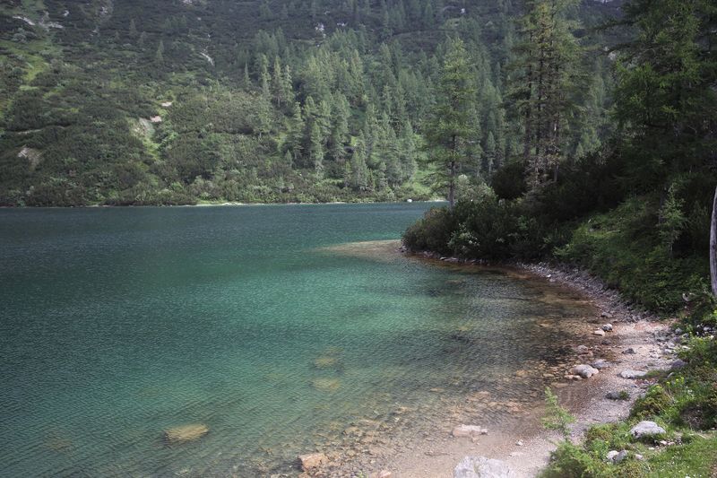 Datei:Steirersee südufer 51317 2017-06-24.jpg