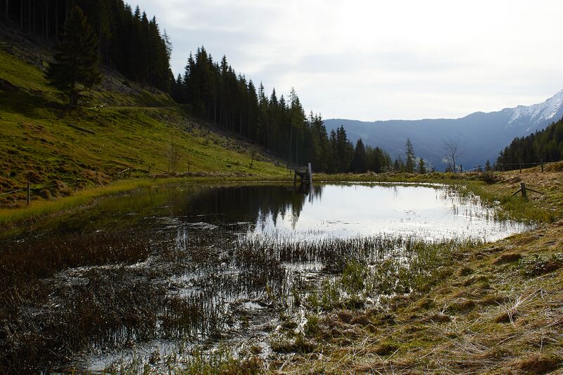 Datei:Stubeggsattel-0146-2021-05-24 07.36.38.jpg