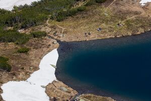 Untere riednersee-1000-2020-06-12-4.jpg