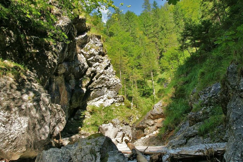 Datei:16026 802914053063077 1279805596866890672 n.jpg