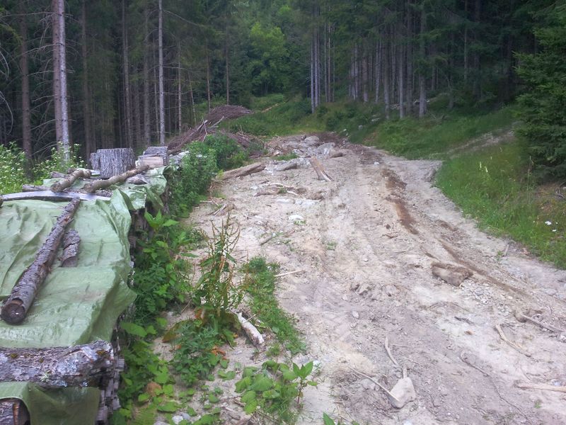 Datei:20130720 142019.jpg