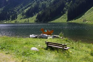 Bodensee seewigtal 63546 2014-06-21.jpg