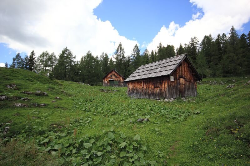 Datei:Gößlalm 77681 2018-06-04.jpg