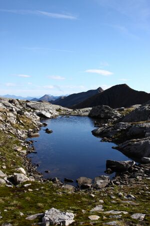 Goldlacken 0309 2013-10-08.jpg