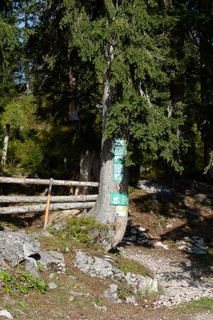 Gsprangalm Straßen-BA-0081-2023-09-17.jpg