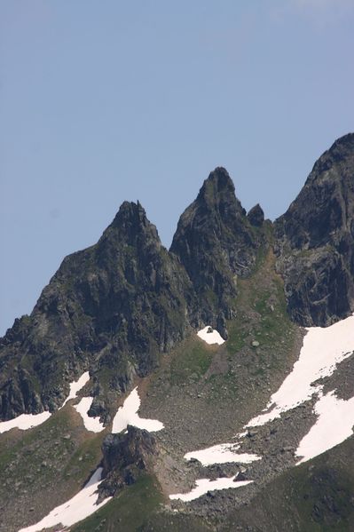 Datei:Hasenohren 1226 13-07-13.jpg