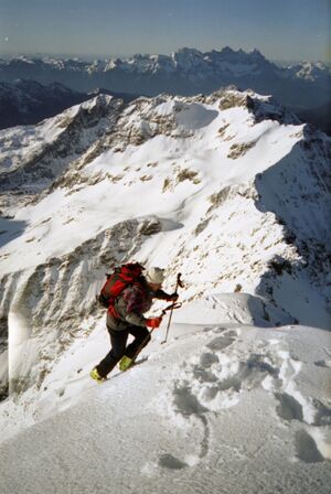 Hochgolling 46438 2005-06-03.jpg