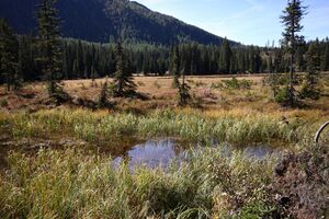 Miesbodensee 40548 2012-10-05.jpg