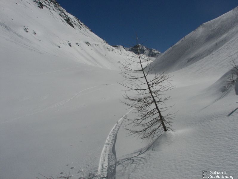 Datei:Rinderfeld100 1643.jpg