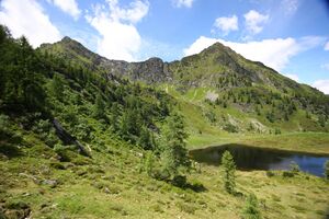 Schobersee 93166 2015-06-26.jpg