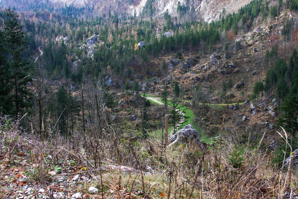 Steinfeld (Altaussee) EnnstalWiki
