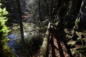 Toplitzsee 78170 2014-11-03.jpg