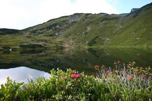 Waidhofsee wölzer tauern 65895 2014-07-01.jpg