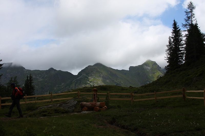 Datei:Wildkar 2175 2009-07-25.jpg