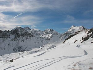 Wildkar 2437 2007-03-05.jpg