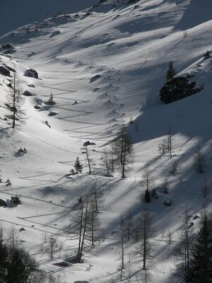 Wildkar 2525 2007-03-05.jpg