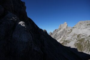 Bischofsmütze 36811 2011-09-11.jpg