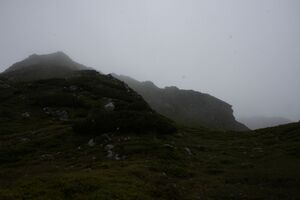 Brotrinndl 2691 2011-07-20.jpg