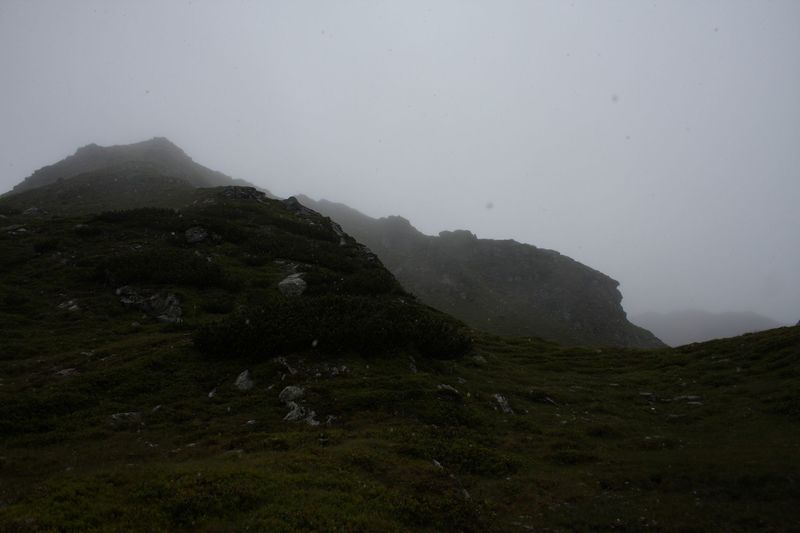 Datei:Brotrinndl 2691 2011-07-20.jpg