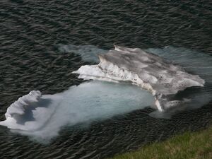 Buckelkarsee 16036 2006-07-03.jpg