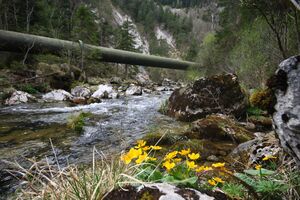 Druckwasserleitung salza 20908 2016-04-15.jpg