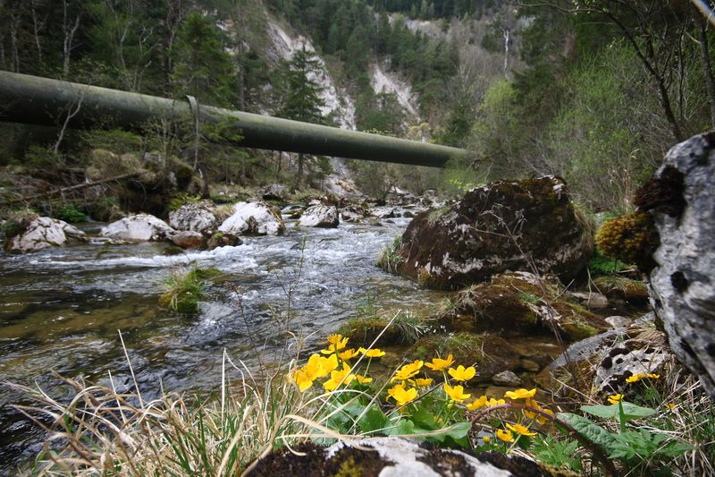 Datei:Druckwasserleitung salza 20908 2016-04-15.jpg
