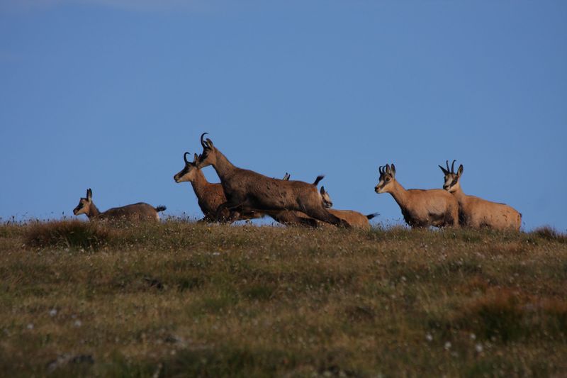 Datei:Etrachboden 27541 2010-08-11.jpg