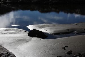 Goldlacken 0263 2013-10-08.jpg