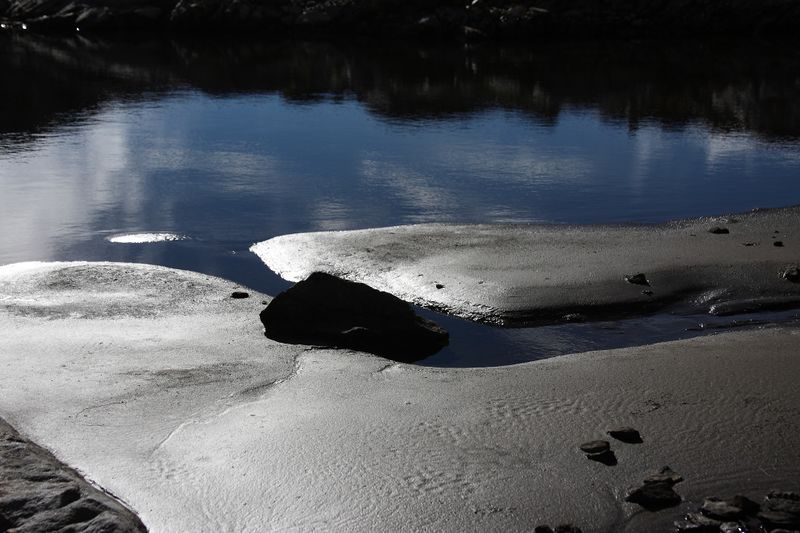 Datei:Goldlacken 0263 2013-10-08.jpg