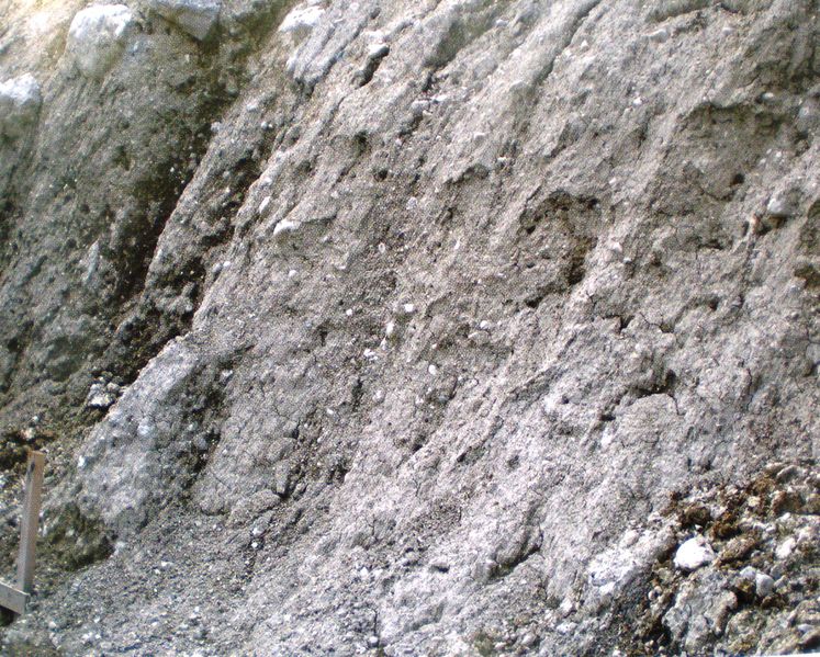 Datei:Grundmoräne Lerchenreith.jpg