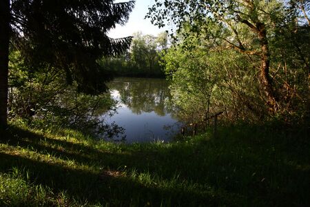 Höferteich 58921 2014-05-26.jpg