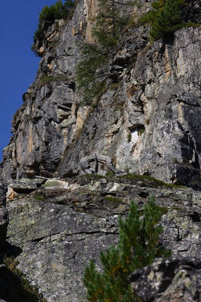 Datei:Karlkirchen 99143 2015-08-28.jpg