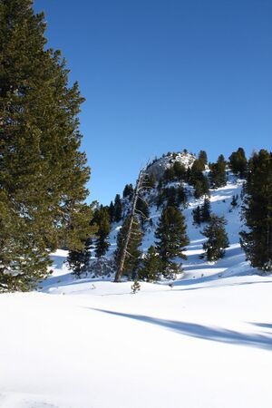 Kufsteinscharte 83048 2015-02-12.jpg