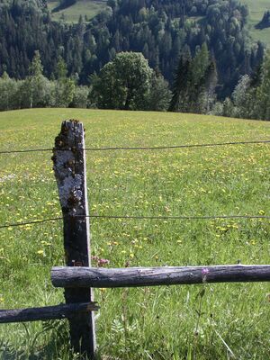 Sattental 42591 2004-05-31.jpg