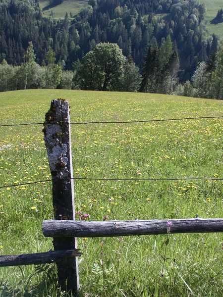 Datei:Sattental 42591 2004-05-31.jpg