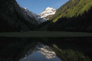 SteinriesentalIMG 6065.jpg