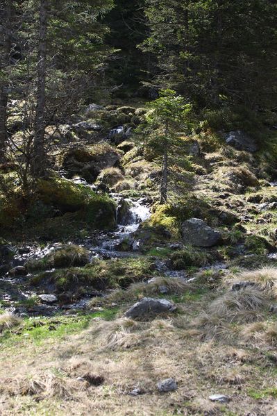 Datei:Strickerkar 55628 2014-05-02.jpg