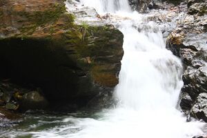 Teufelsschlucht Seewigtal 73414 2014-10-02.jpg