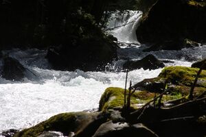 Untertalbach 2177 2009-05-29.jpg