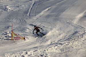 VON AVIS EMMILIESE USA nr33-0226-2024-03-02.jpg