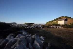 Bräuningalm 50187 2017-06-11.jpg