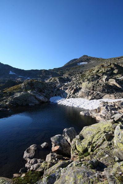 Datei:Goldlacken 0435 2008-08-12.jpg