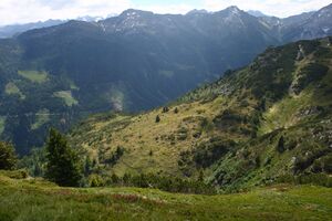 Höllermahd 94063 2015-06-26.jpg