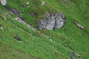 Im stegerkar 23925 2008-07-09.jpg