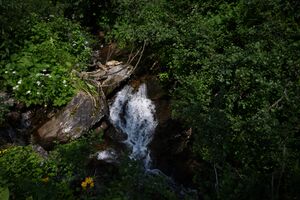 Mößnakarbach 0898 13-07-12.jpg